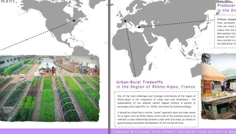 Thematic Booklets & Issue Papers
